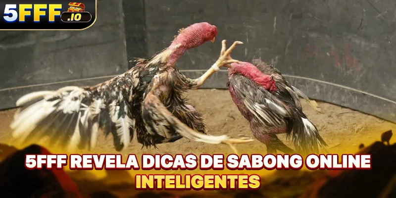 5FFF revela dicas de Sabong online inteligentes