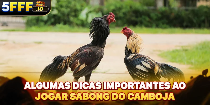 Algumas dicas importantes ao jogar sabong do Camboja