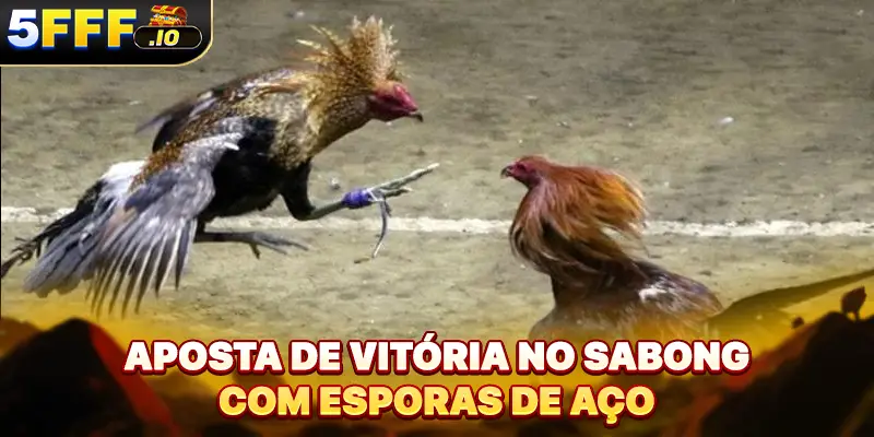 Aposta de vitória no sabong com esporas de aço