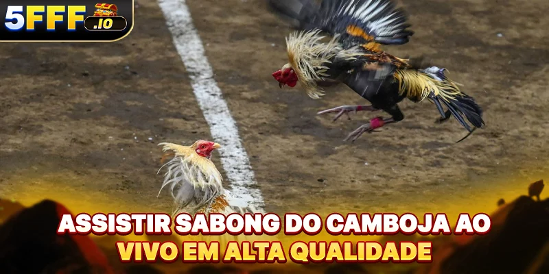 Assistir sabong do Camboja ao vivo em alta qualidade