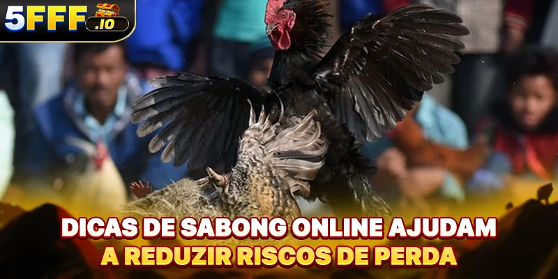Dicas de Sabong online ajudam a reduzir riscos de perda