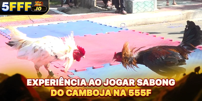 Experiência ao jogar sabong do Camboja na 555F