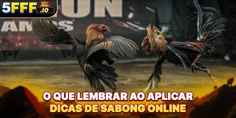 O que lembrar ao aplicar dicas de Sabong online