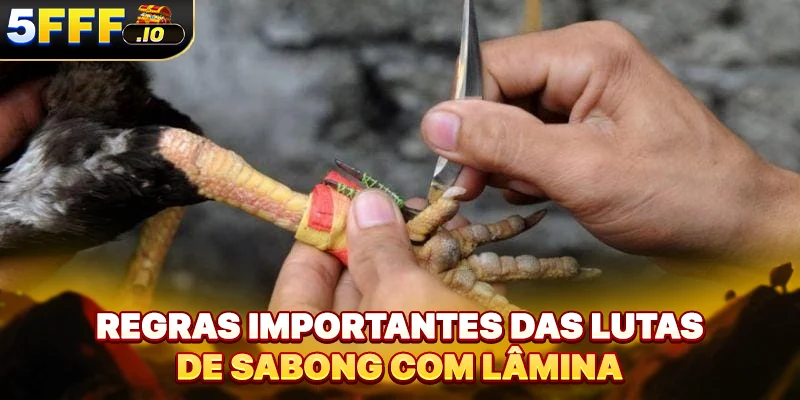 Regras importantes das lutas de sabong com lâmina