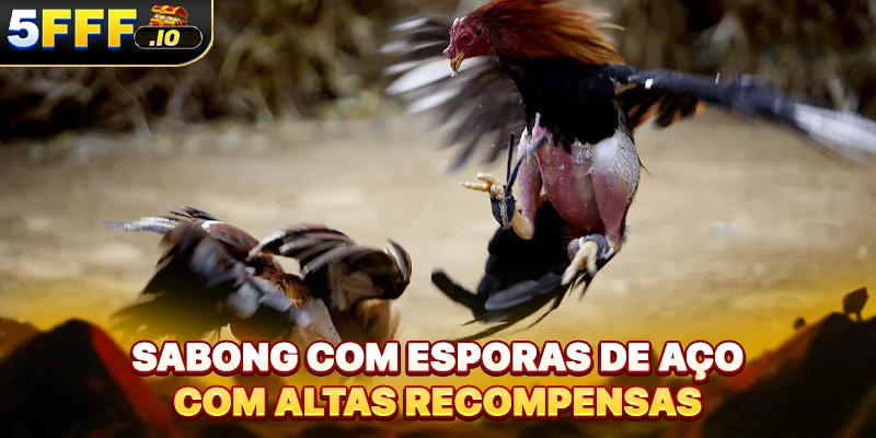Sabong com esporas de aço com altas recompensas