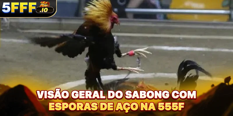 Visão geral do sabong com esporas de aço na 555F